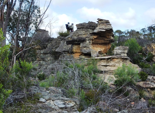 A Dunns Swamp Walk